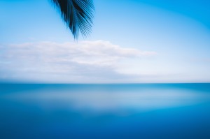 Bright, coastal scene of a palm tree leaf and blissful clouds hovering over a beach in Nuevo Vallarta, Mexico