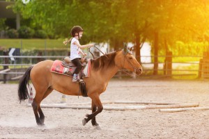 Bambina su cavallo