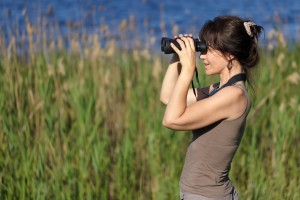 watching wildlife