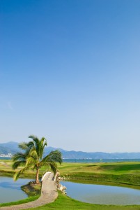 Palm tree and lake on tropical oceanfront golf course