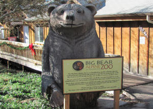 Big Bear Alpine Zoo
